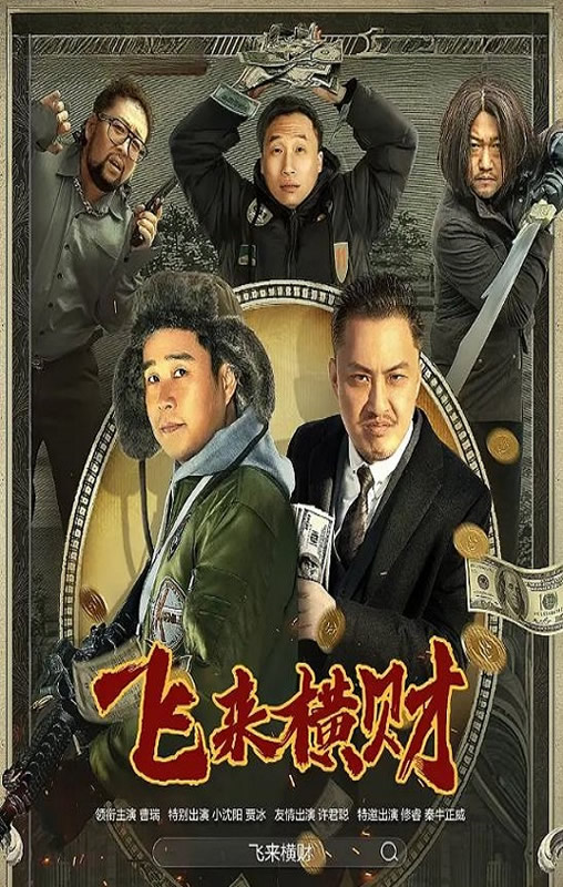 《飞来横财》电影下载百度网盘2024_HD国语中字1.60GB